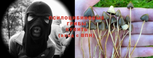 гашишное масло Богданович