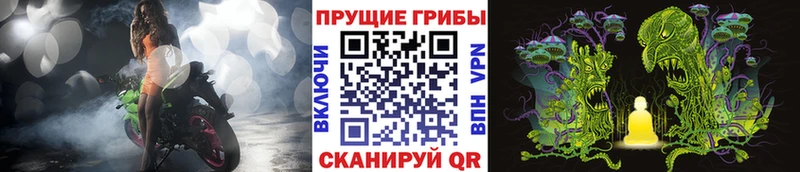 Галлюциногенные грибы Magic Shrooms  Ершов 